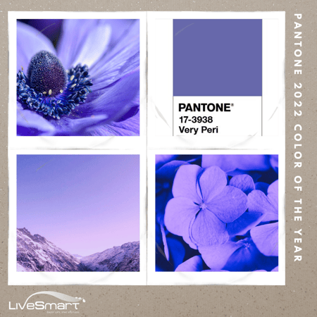 Pantone - Collage