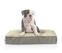 GreyDogBedwithBulldog